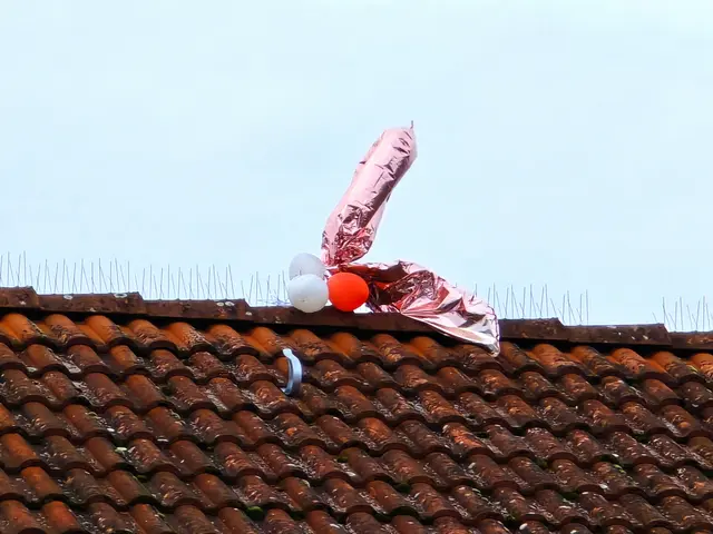 Foto: Heidrun Rosenberger