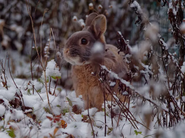 Foto: Eigenes Bild TB