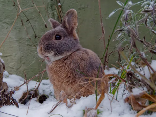 Foto: Eigenes Bild TB