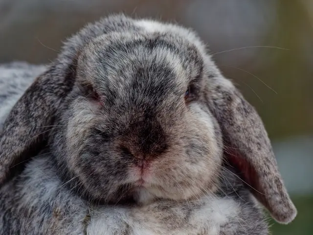 Foto: Eigenes Bild TB