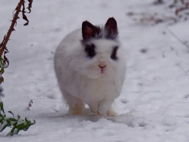 Foto: Eigenes Bild TB