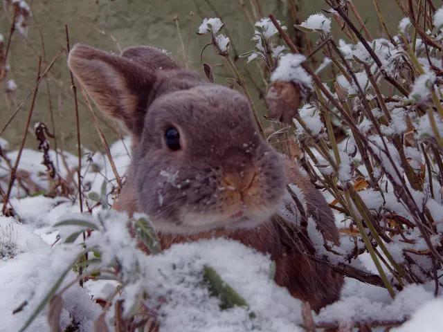 Foto: Eigenes Bild TB