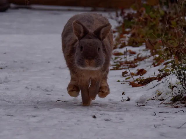 Foto: Eigenes Bild TB