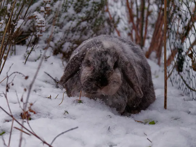 Foto: Eigenes Bild TB