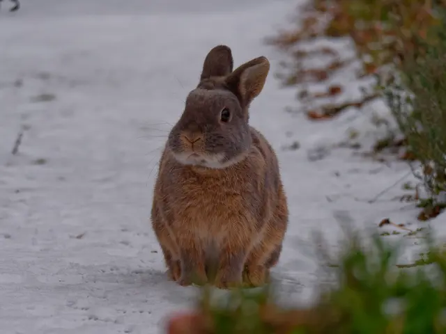 Foto: Eigenes Bild TB