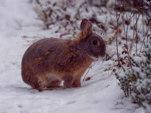 Foto: Eigenes Bild TB