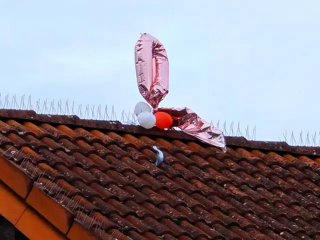 Foto: Heidrun Rosenberger