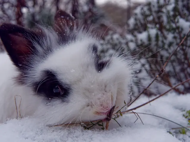 Foto: Eigenes Bild TB