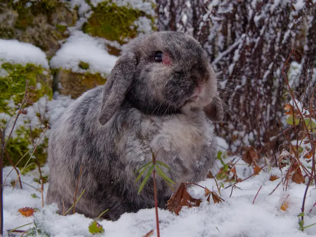 Foto: Eigenes Bild TB