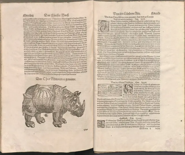 1588 _ Cosmographia von Sebastian Münster, deutsche Ausgabe, Basel 1588

Bayrische Staatsbibliothek München, Res/2 Geo.u.64l | Foto: Bayrische Staatsbibliothek München
