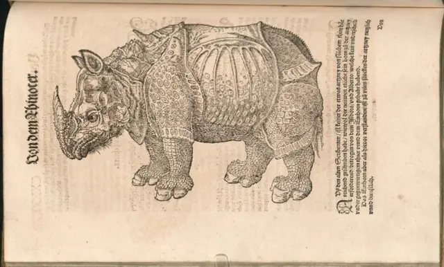 1583 _ Das Nashorn im "Thierbuch" von  Conrad Gessner hochkant auf der Seite platziert. Es besteht eine große Ähnlichkeit zur Version von David Kandel, allerdings fehlen die Initialen. 

Bayrische Staatsbibliothek München, Signatur: Res/2 Zool.200v | Foto: Bayrische Staatsbibliothek München