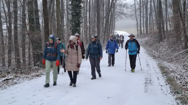 Foto: Manuela Weippert