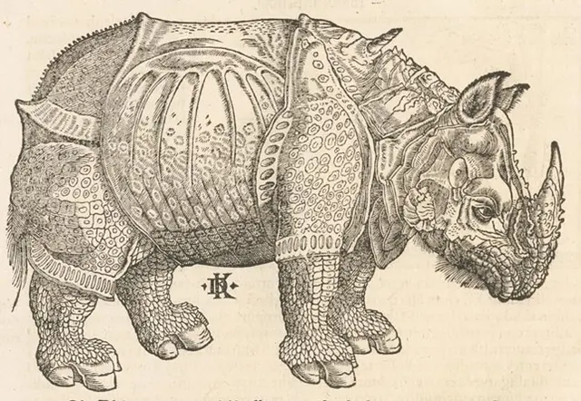 1588 _ Lateinsche Ausgabe der Cosmographia von Sebastian Münster. Die Initialen D K stehen für David Kandel

Universitätsbibliothek Bern, SOB RoEu fol 58 | Foto: Universitätsbibliothek Bern 