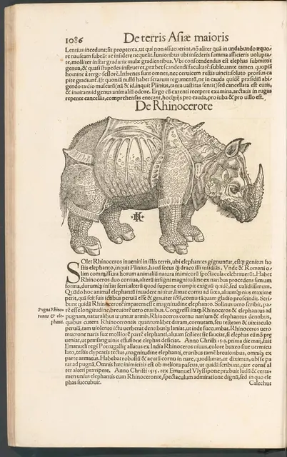 1588 _ Lateinsche Ausgabe der Cosmographia von Sebastian Münster, sehr gut erhaltenes Exemplar, Abbildung und Beschreibung des "Rhinocerote" auf derselben Seite

Universitätsbibliothek Bern, SOB RoEu fol 58 | Foto: Universitätsbibliothek Bern 