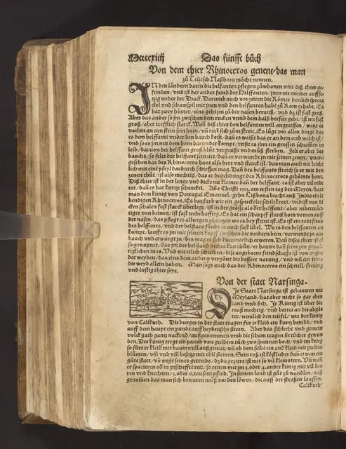 1564 _ Beschreibung des "Rhinoceros" in der Cosmographia-Ausgabe von 1564 

Badische Landesbibliothek Karlsruhe, 98 B 76217 RH | Foto: Badische Landesbibliothek Karlsruhe 