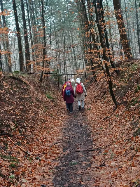 Hier war kein Schnee | Foto: E. Rosendorf