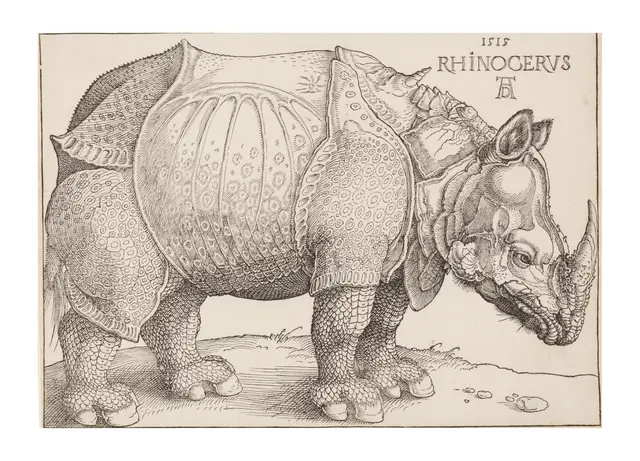 Rhinocerus (Das Rhinozeros) von Albrecht Dürer, Nürnberg 1515

Quelle: Städelmuseum Frankfurt am Main, Inventarnummer 31588 
 | Foto: Städelmuseum Frankfurt am Main
