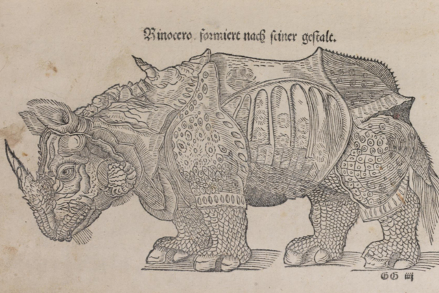 1544 _ "Rinocero" in der Erstausgabe der Cosmographia von Sebastian Münster, Basel 1544
Die Initialen sehen für mich wie GG aus, ...  (wer weiß mehr?)

Quelle: UB Basel, EU I 55 | Foto: Universitätsbibliothek Basel
