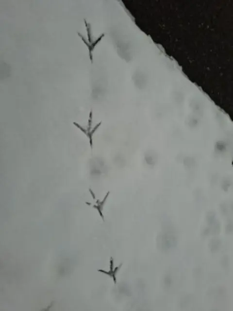 kleine Eindrücke | Foto: Ralf Röser