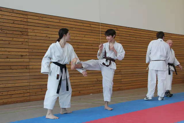  Helen und Dylan Heil beim Kumitetraining | Foto: Karateverein Eppingen