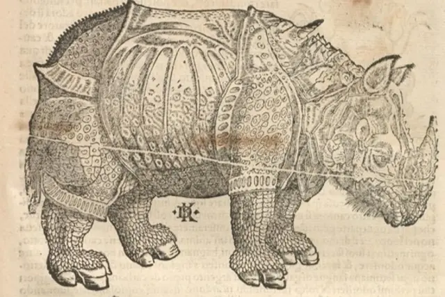 1558 _  italienische Ausgabe der Cosmographia, Signatur D K für David Kandel 
Das Rhinozeros schaut nach rechts, wie bei Dürer. Abbildung auf Seite 1165

Quelle des Fotos: UB Basel, Es 258 | Foto: Universitätsbibliothek Basel