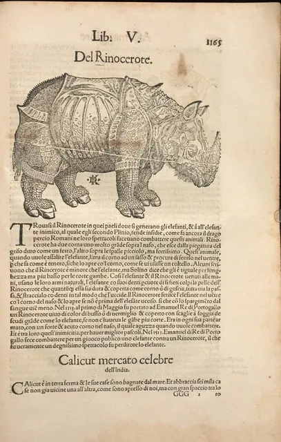 1558 _ italienische Ausgabe der Cosmographia, S. 1165

Abbildung und Beschreibung des "Rinocerote" befinden sich auf derselben Seite

Quelle des Fotos: UB Basel, Es 258 | Foto: Universitäsbibliothek Basel