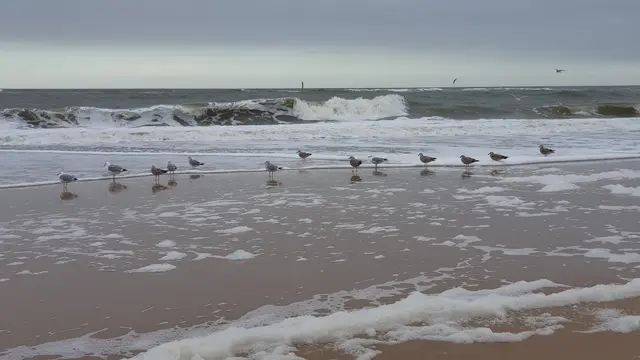 Am Weststrand | Foto: Privat