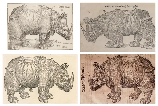 2025 _ Collage zum besseren Vergleich der verschiedenen Darstellungen
oben: 
Dürer 1515 und Erstausgabe der Cosmographia von S. Münster 1544
unten: 
David Kandel in der lateinischen Ausgabe der Cosmographia 1588 und "Thierbuch" von Conrad Gessner, Ausgabe 1583, gezeigt im virtuellen Rundgang bei der Sonderausstellung im HFM


Quellen siehe Einzelfotos | Foto: Eigene Collage 