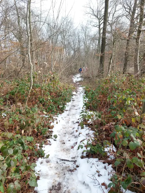 Abschnittsweise lag selbst auf dem Randweg noch Schnee. | Foto: Foto privat