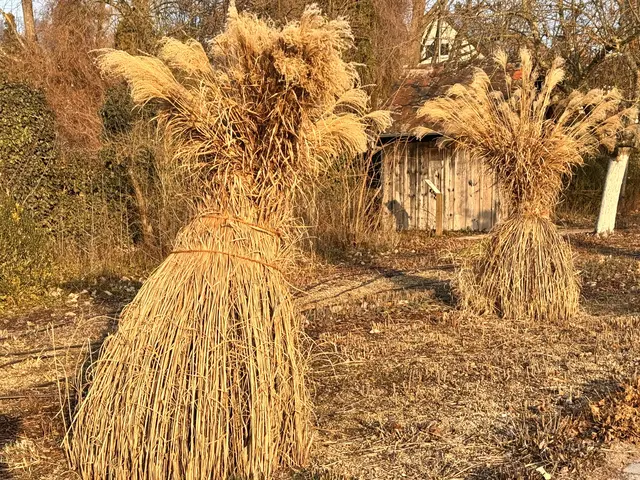 Foto: Heide Böllinger aus Bad Friedrichshall