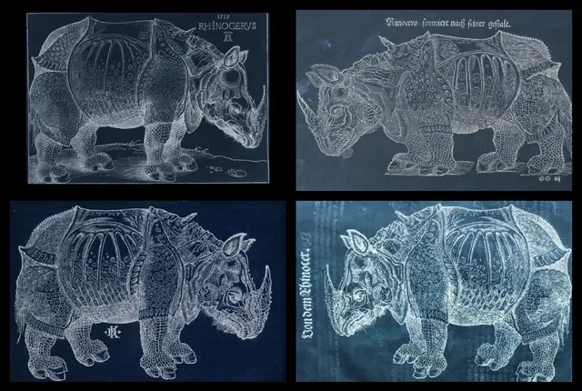 2025 _ Collage zum besseren Vergleich der verschiedenen Darstellungen, hier als Negativ'abzug'

oben: 
Dürer 1515 und Erstausgabe der Cosmographia von S. Münster 1544
unten: 
David Kandel in der lateinischen Ausgabe der Cosmographia 1588 und "Thierbuch" von Conrad Gessner, Ausgabe 1583

Quellen siehe Einzelfotos | Foto: Eigene Collage 