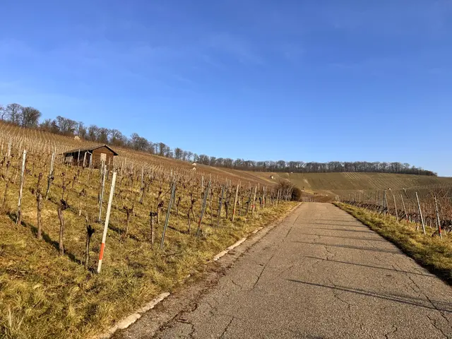 Foto: Heide Böllinger aus Bad Friedrichshall