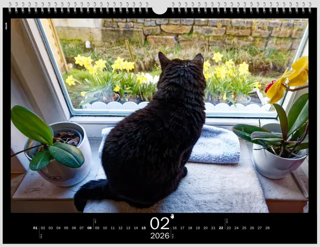 Der Frühling naht | Foto: WKY