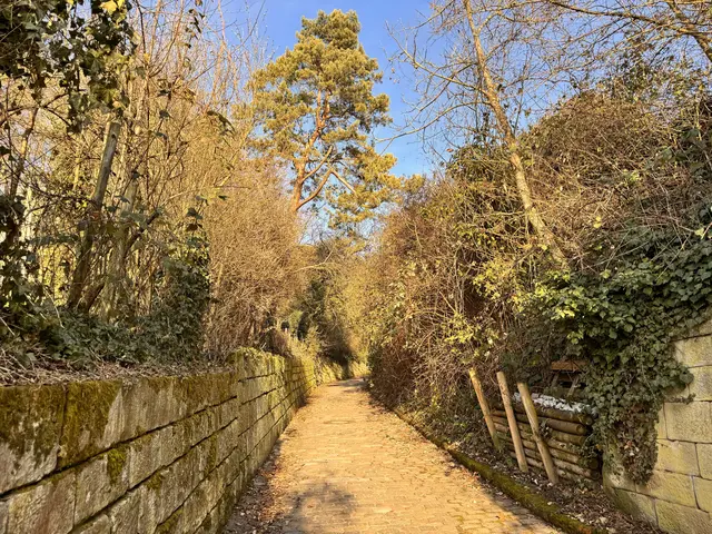 Foto: Heide Böllinger aus Bad Friedrichshall