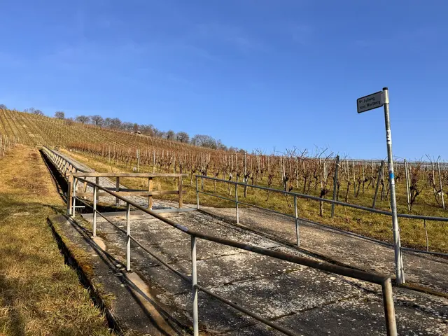 Foto: Heide Böllinger aus Bad Friedrichshall
