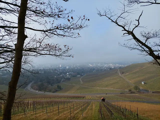 Im Laufe des Vormittags ließ der Nebel nach , es kam etwas Sonne durch und man konnte die herrliche Aussicht genießen. | Foto: Foto privat