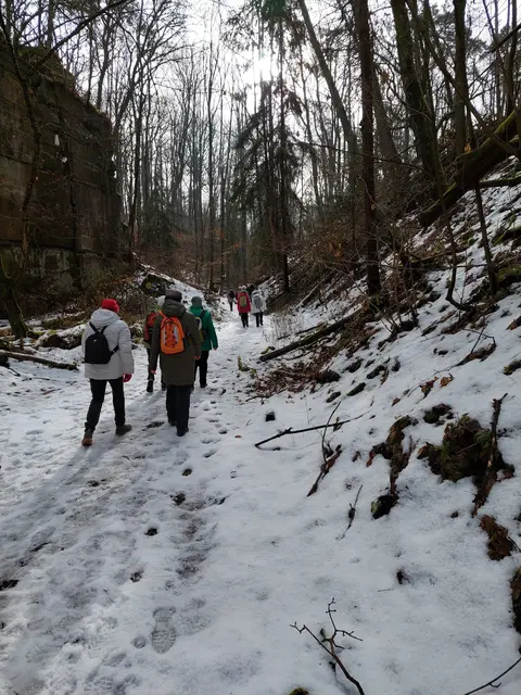 Fröhliches Stapfen im winterlichen Wald. | Foto: Foto privat