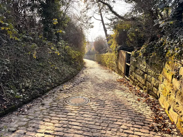 Foto: Heide Böllinger aus Bad Friedrichshall