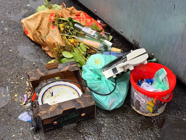 Vor diesem Glascontainer steht Abfall der aus Elektroschott, Keramik, Biomüll, Plastik und Glas besteht. 
Auch Batterien werden einfach mit entsorgt.   | Foto: Heidrun Rosenberger