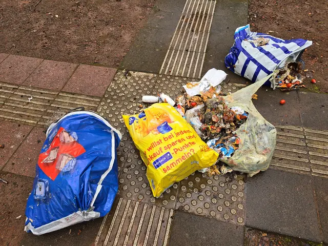 Biomüll und Plastikmüll, alles in einem, plus die Plastiktüten. | Foto: Heidrun Rosenberger