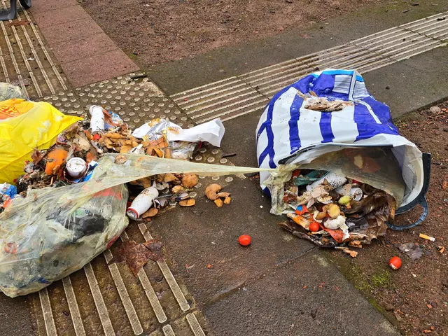 Mehrere Plastiktüten ineinander gesteckt, um zu vermeiden, dass der wahre Inhalt gesehen wird. | Foto: Heidrun Rosenberger