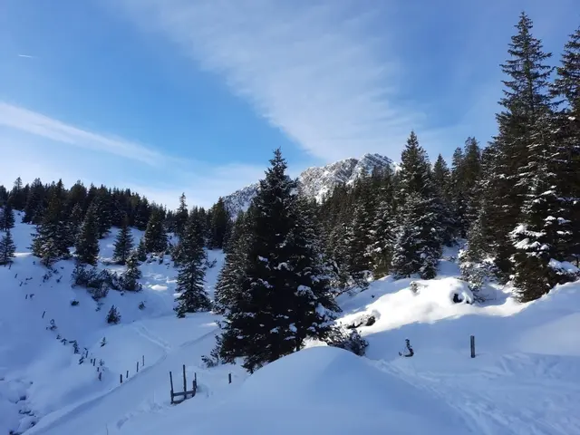 Schneebedeckte Winterlandschaft wirkt beruhigend | Foto: privat: S.Schenk