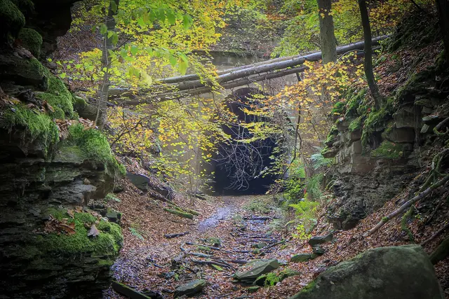 Verwunschener Ort - 
Tunnel zwischen Flein und Donnbronn | Foto: c uschipohl