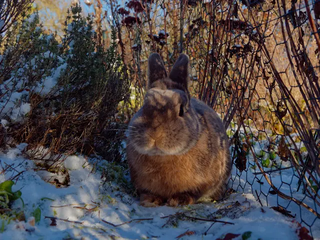 Foto: Eigenes Bild TB