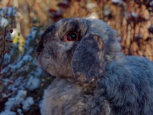 Foto: Eigenes Bild TB