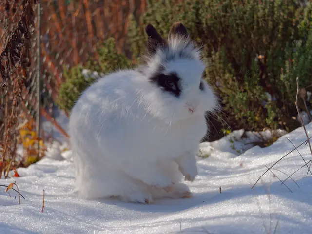 Foto: Eigenes Bild TB