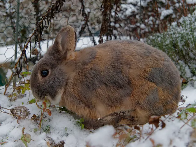 Foto: Eigenes Bild TB