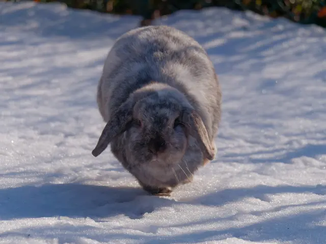 Foto: Eigenes Bild TB