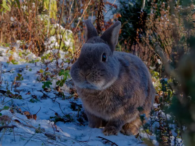 Foto: Eigenes Bild TB