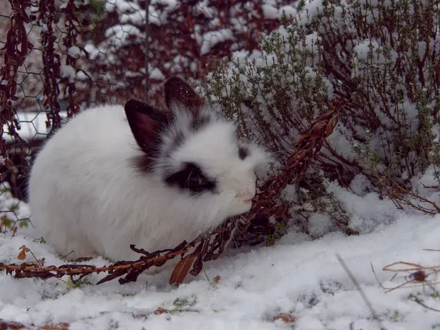 Foto: Eigenes Bild TB